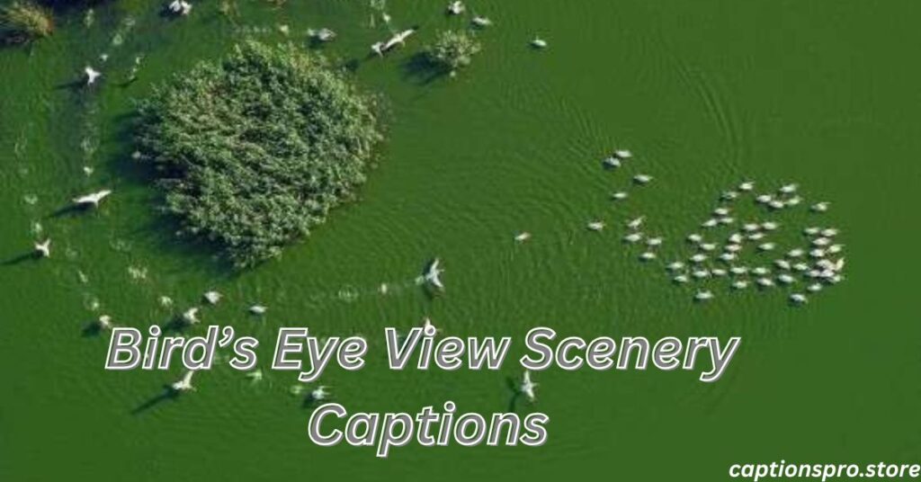 Bird’s Eye View Scenery Captions