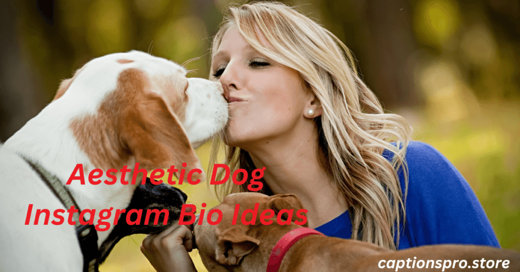 Aesthetic Dog Instagram Bio Ideas